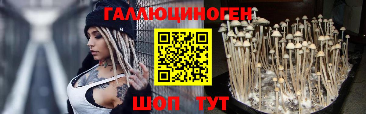 Псилоцибиновые грибы Magic Shrooms  Вход с VPN  Псилоцибиновые грибы Cubensis  Луховицы 
